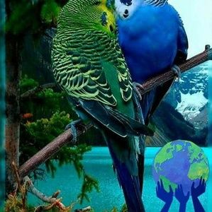 Meet your Posher, Ronald